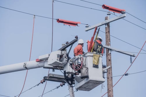 Featured image for the blog post - Power Line Clearance